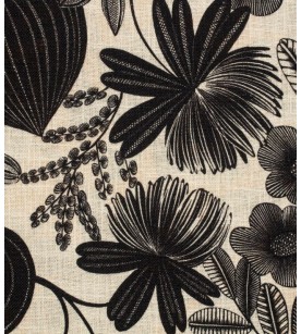 Orphee-Noir Fond Vanille...