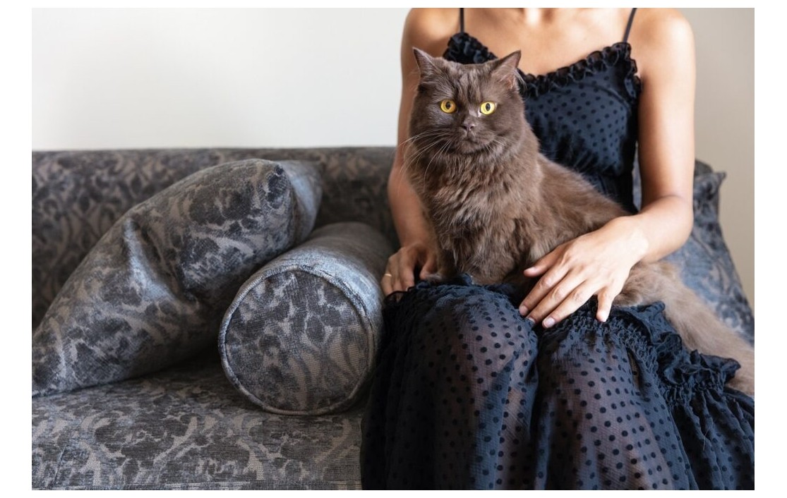 Πώς λειτουργούν τα φιλικά προς τα κατοικίδια υφάσματα